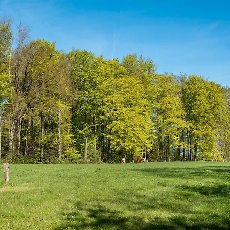 Kuestenkind * Westerholz