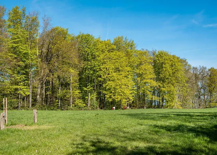 Kuestenkind * Westerholz